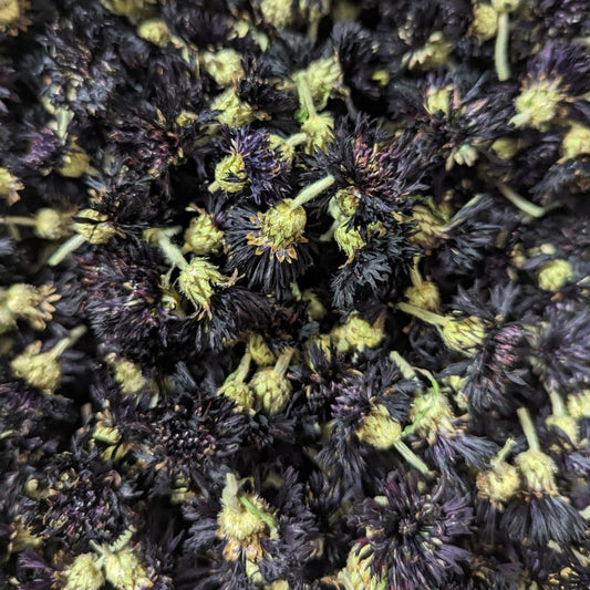 Dried Edible Flowers - Bachelor Buttons, Blue Boy – Cherry Valley