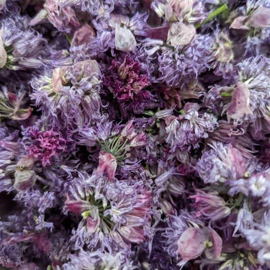 Fresh Edible Flowers - Lavender, Mixed – Cherry Valley Organics