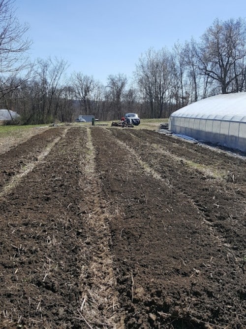 Cherry Valley Organics Cucumber Farming