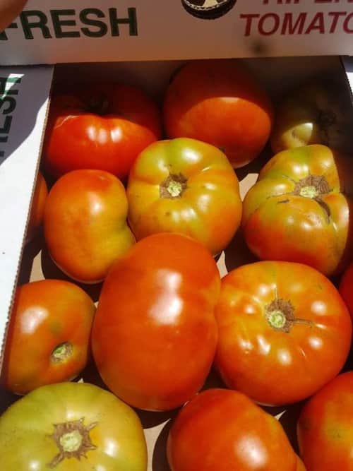 Organic Pink Beauty Heirloom Tomatoes, 1 lb