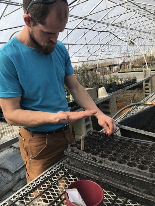 Cherry Valley Organics Heirloom Tomatoes