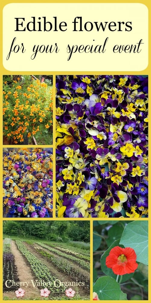 Cherry Valley Organics Edible Flowers