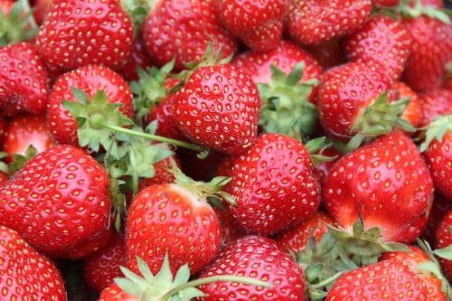 Cherry Valley Organics Strawberries