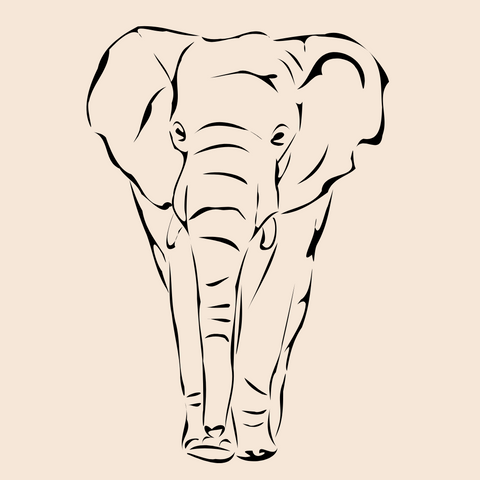 elephant, éléphant