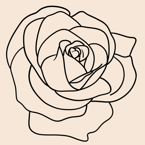 symbole de la rose