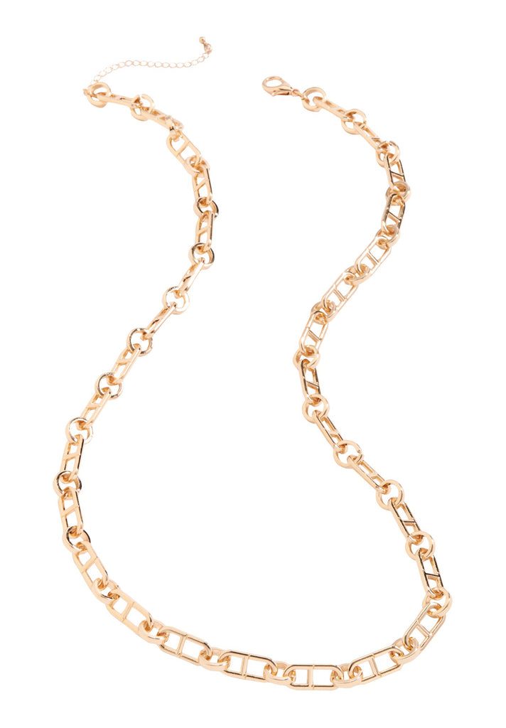 Long Chainlink Necklace | Roaman's – CurveWear
