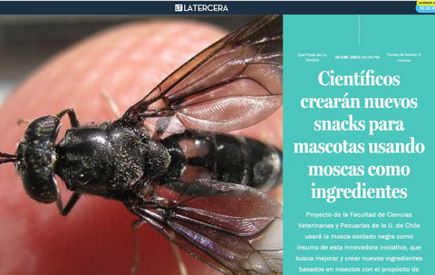 cientificos ciencia snack mascotas sustentable sabroso mosca diario la tercera