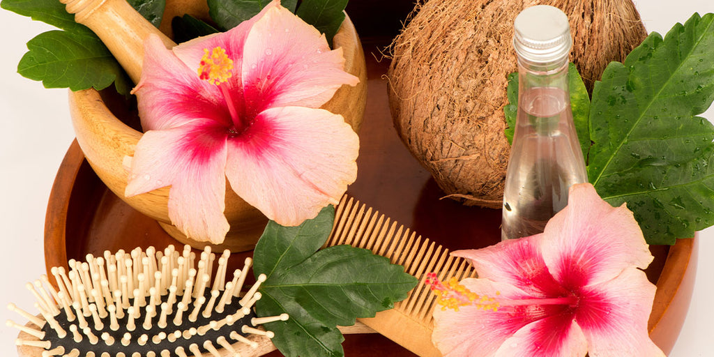 Hibiscus For Hair Shampoo Oil  Hair Masks For Ultimate Benefits  Vedix