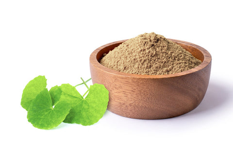 Dried gotu kola leaf powder