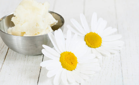 Shea Butter And Chamomile Flower