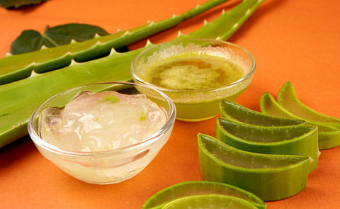 Aloe Vera Leaves And Gel