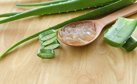 aloe vera to treat damaged hair 