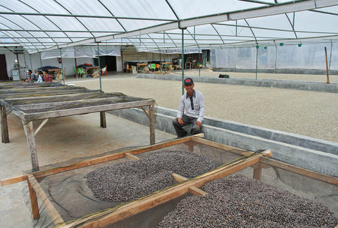 Drying beds at Tiga Raja