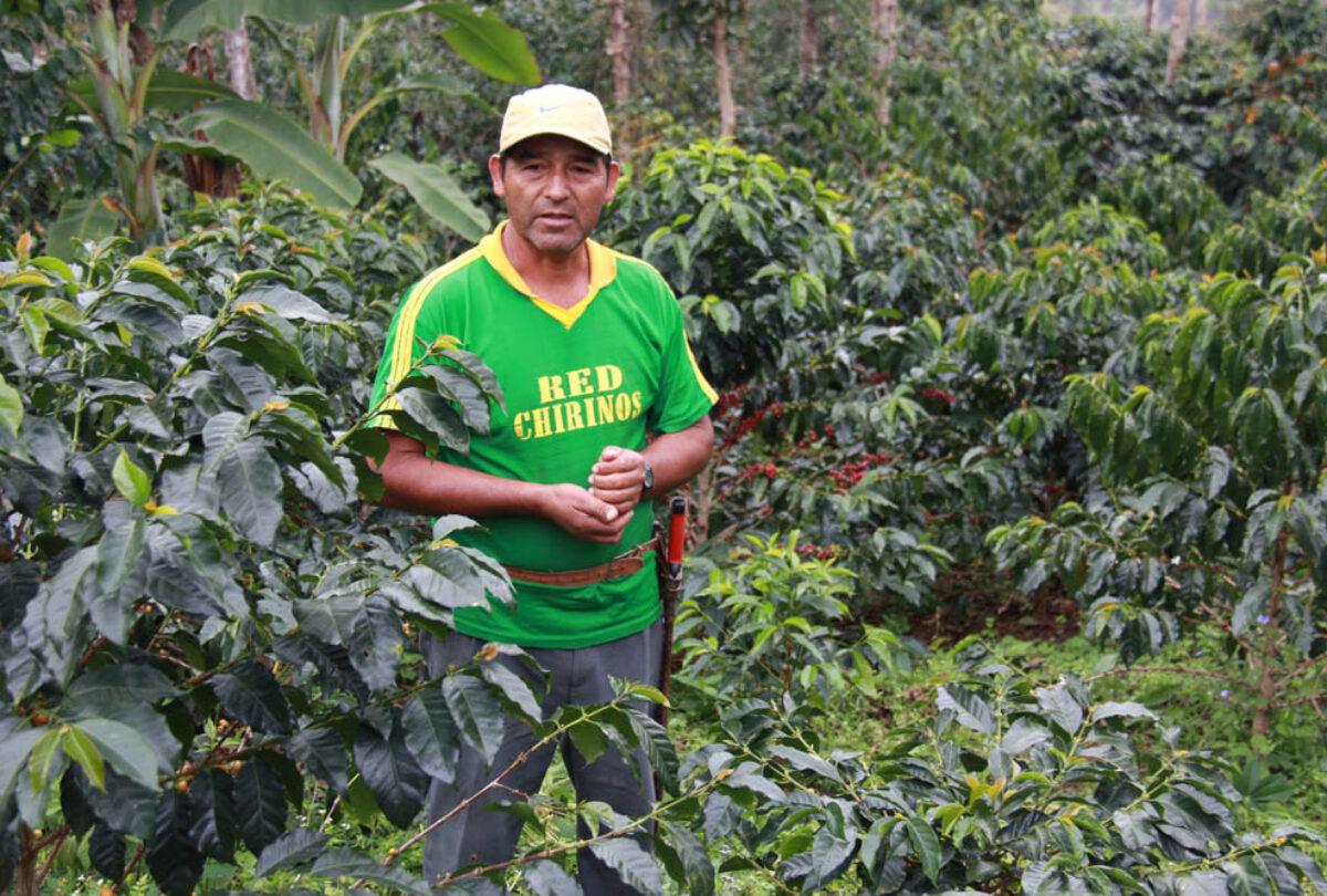 Amaro explaining his transition to organic practices