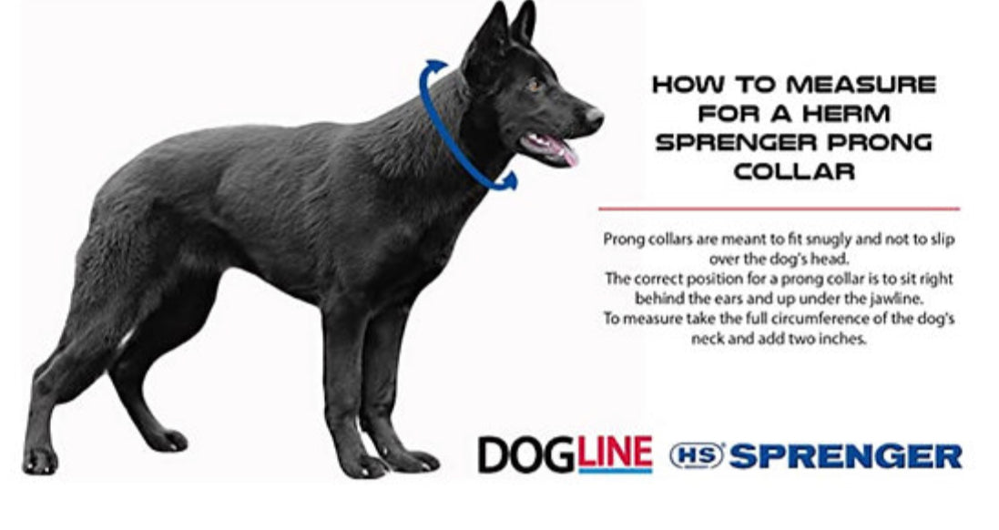 sprenger prong collar fitting