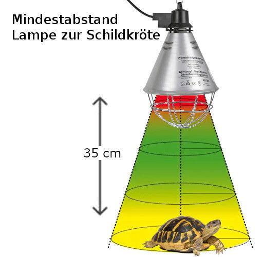 Abstand Lampe zu Schildkröte