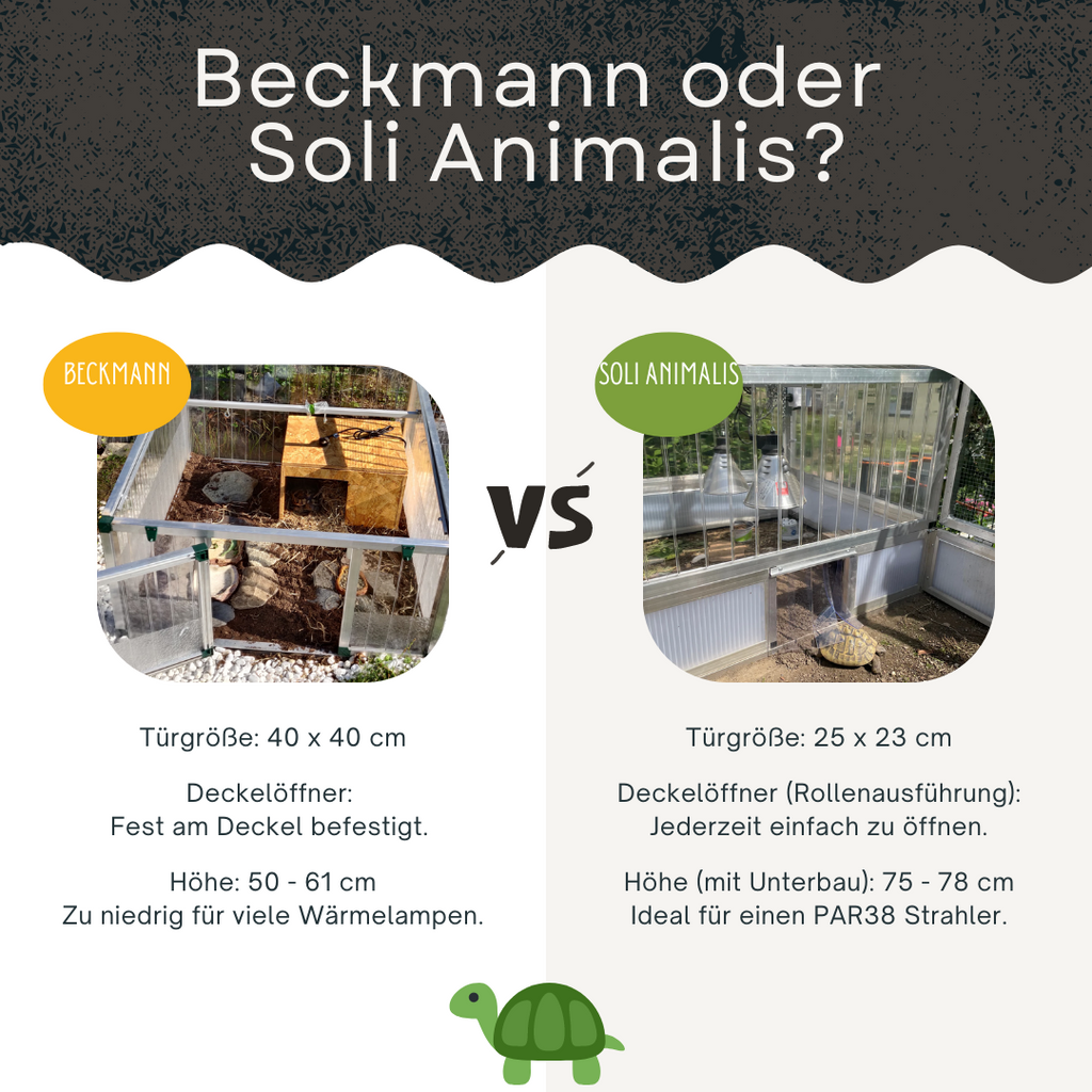 Beckmann oder Soli Animalis