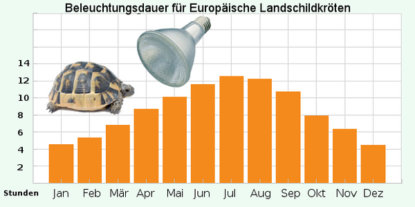 Dauer Beleuchtung PAR38