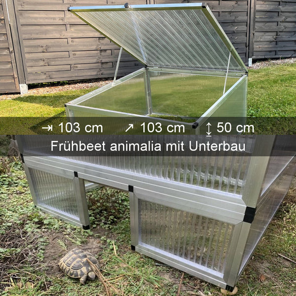 Schildkröten-Frühbeet animalia mit Unterbau