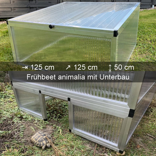 ALLTOP Schildkröten-Frühbeet animalia mit Unterbau