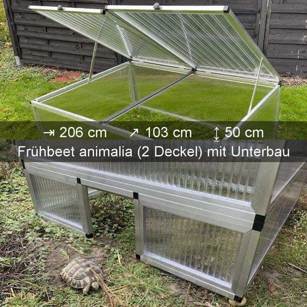 ALLTOP Frühbeet Soli Animalis mit Unterbau