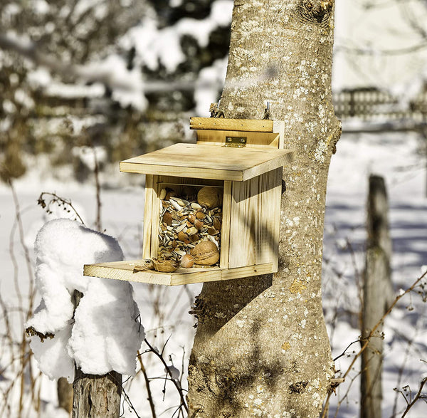 Futterautomat für Eichhörnchen aus Holz