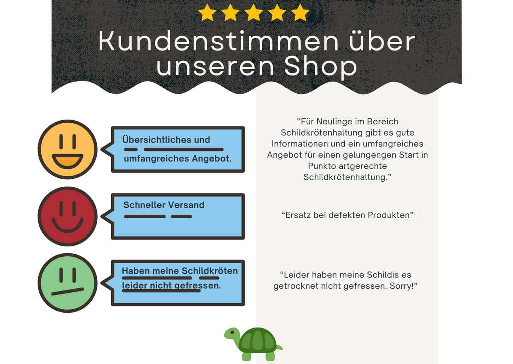 Kundenstimmen Schildkrötenshop