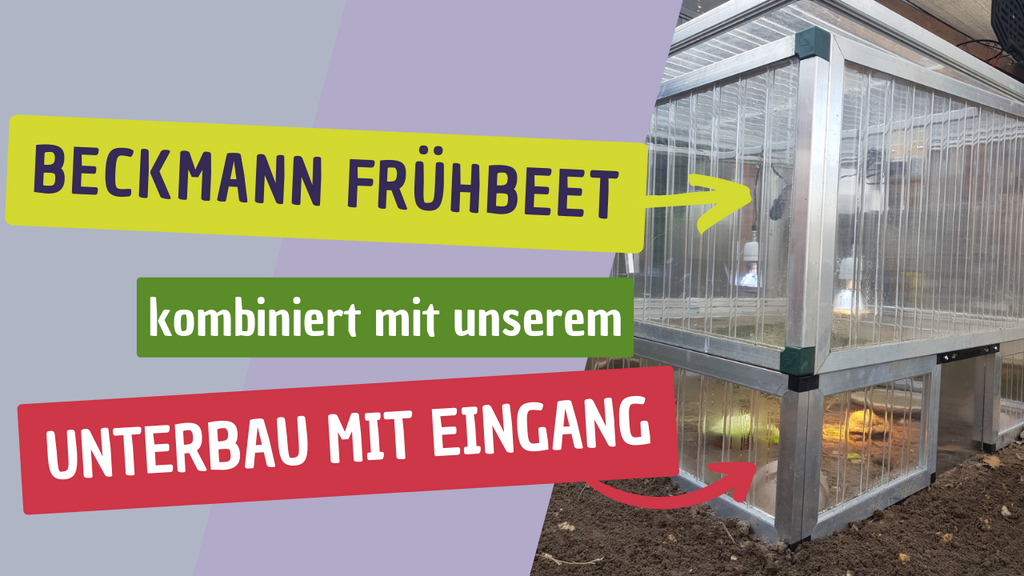 Unterbau mit Eingang für Beckmann Frühbeet