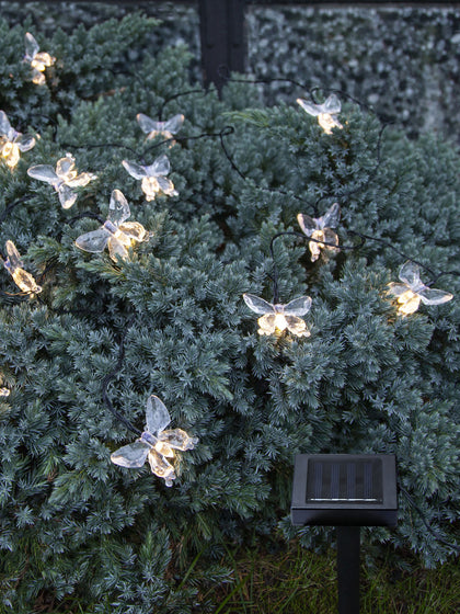 Sistema de iluminação solar Borboleta, 280 cm