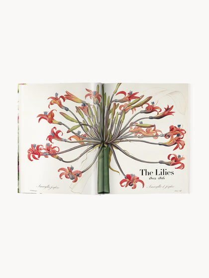 Livro ilustrado Book of Flowers