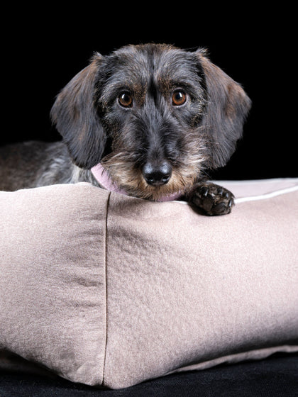 Cama para mascotas en terciopelo Classic, tamaños diferentes