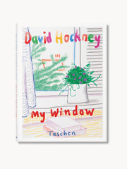 Livro ilustrado My Window