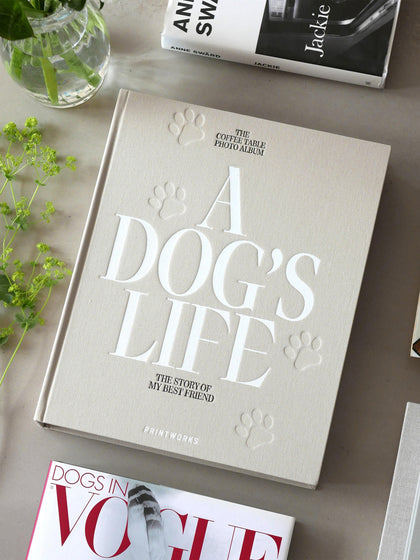 Image de la galerie 4 - Album photo A Dog's Life