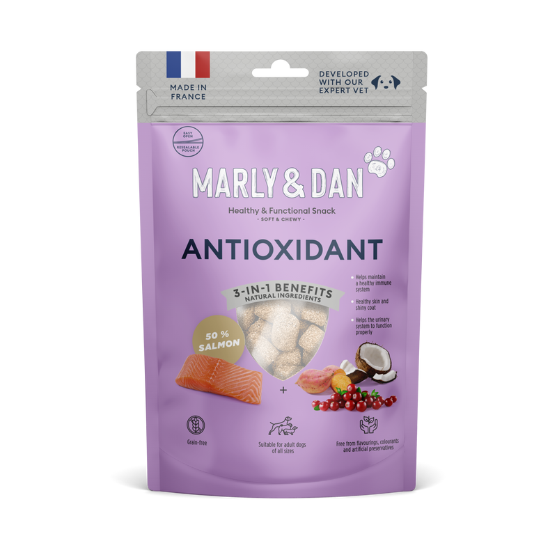 Friandises pour chien antioxidant au saumon