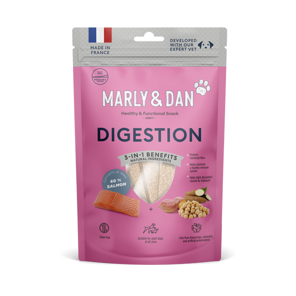 Friandises pour chien digestion au saumon