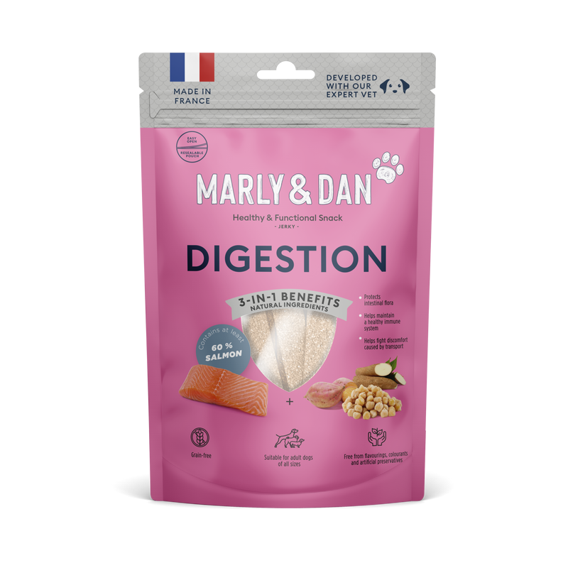 Friandises pour chien digestion au saumon