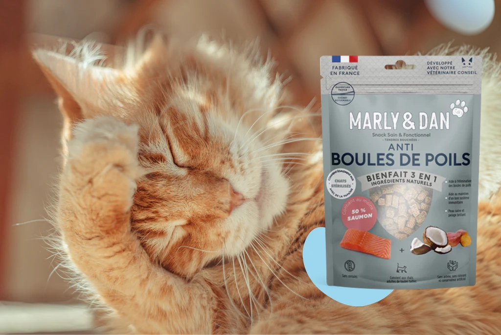 chat contre les boules de poils