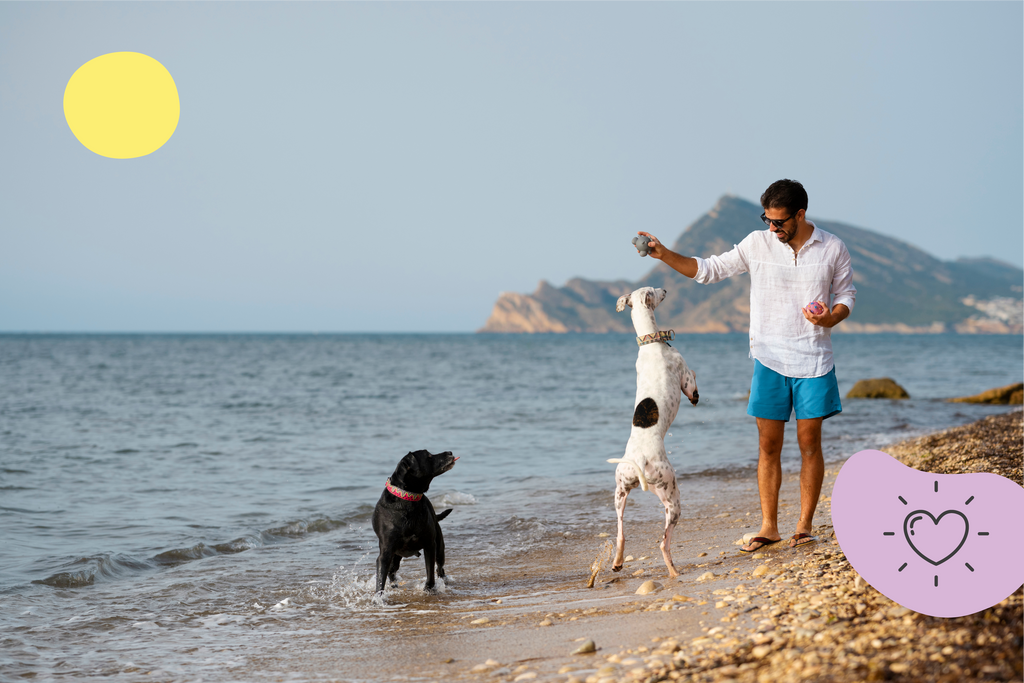 Vacances à la plage avec un chien