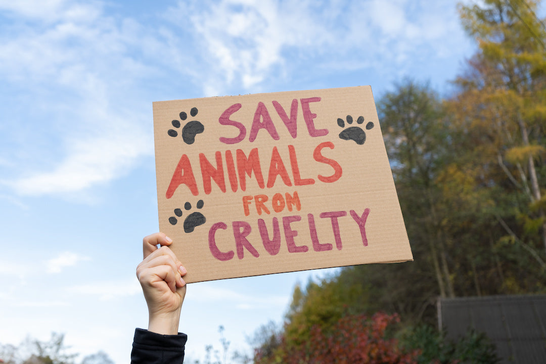 save animals from cruelty