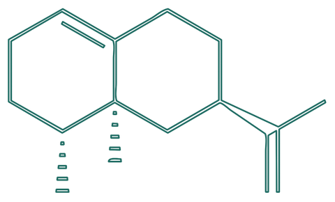 valencene molecule