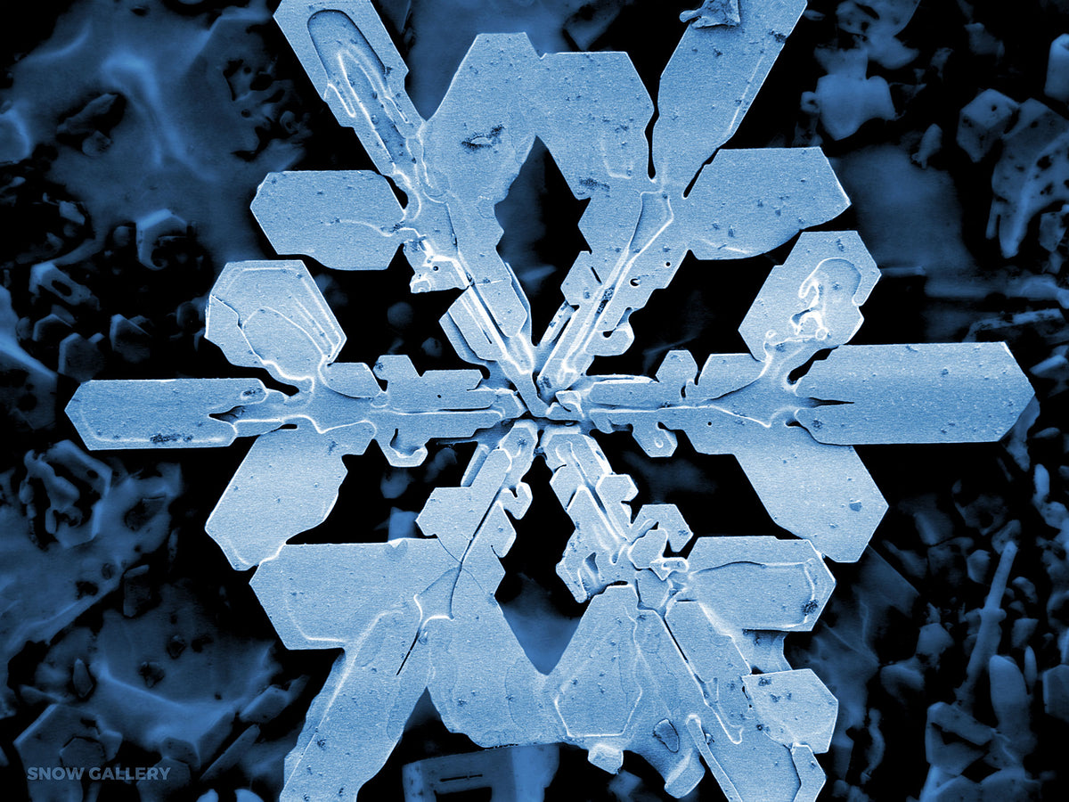 Gothic - High Quality Snowflake Print by Snow Gallery