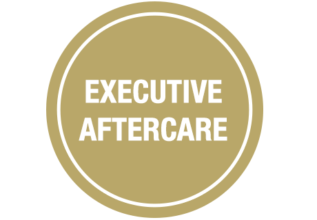 Executive Aftercare Plan