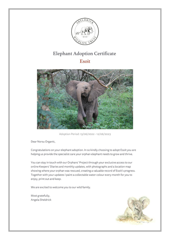 Certificaiton Eldphant adoption