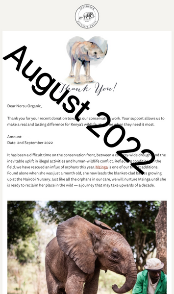 August monthly donation to Sheldrick Wildlife Trust