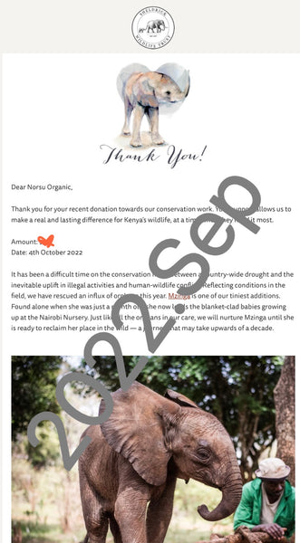 sheldrick wildlife trust, rescue elephant, organic baby clothing, donation