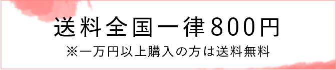 送料全国一律800円※一万円以上購入の方は送料無料