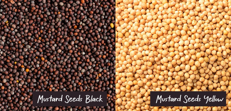 Black and yellw mustard seeds