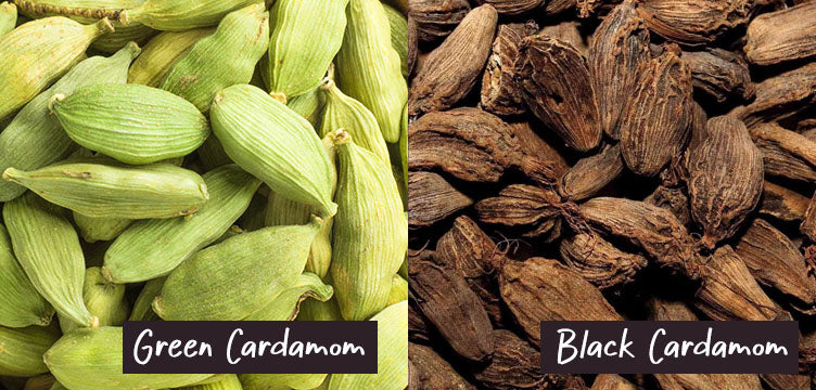 Difference-between-green-cardamom-and-black-cardamom