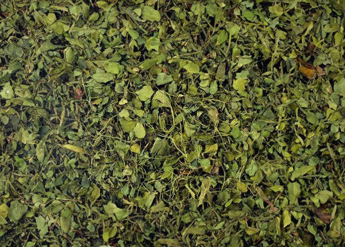 Close up of kasoori methi