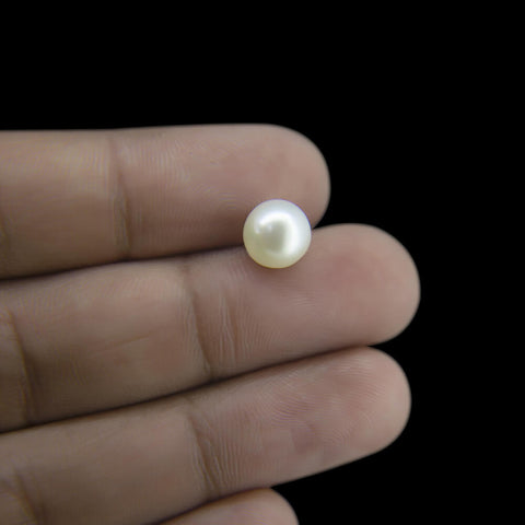 Planderful Freshwater Pearl Story - South Sea Pearl